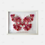 11x14 Butterfly Manual & Template