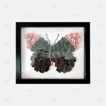 11x14 Butterfly Manual & Template
