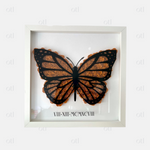 Paper Flower Monarch Butterfly Manual & Template - 5x7, 8x8, 8x10, 9x9, & 12x12